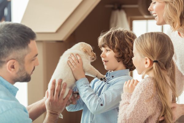 Young family holding a Labrador retriever puppy
